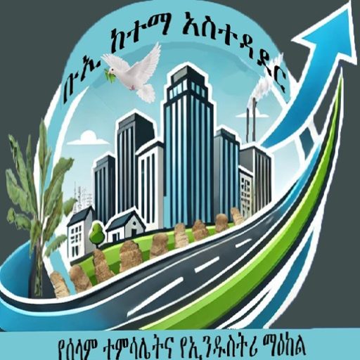 ቡኢ ከተማ አስተዳደር