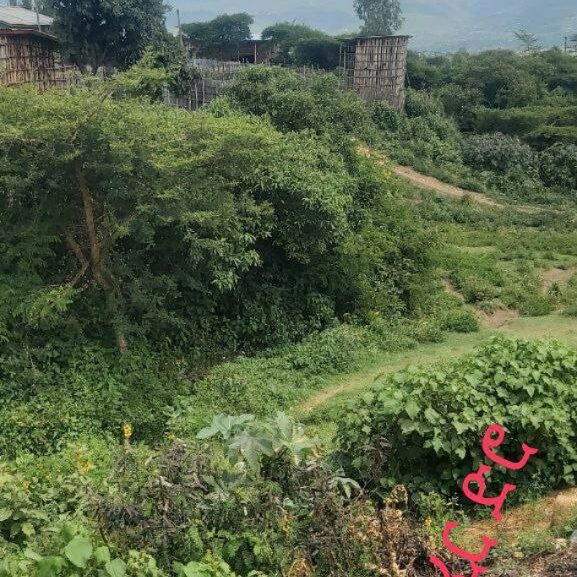 photo_21_2024-05-09_09-29-26